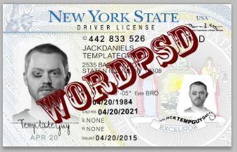 download new york state drivers license template psd